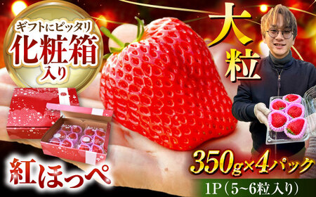 【先行予約】【1月下旬より順次発送】 超特大玉 いちご 紅ほっぺ (350g×4) 苺 イチゴ / はしもと園芸[AECD002]