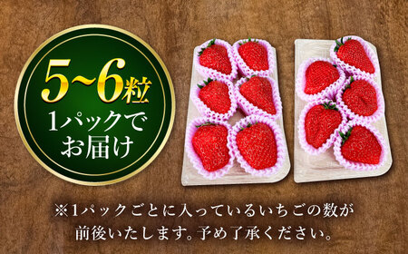 【先行予約】【1月下旬より順次発送】 超特大玉 いちご 紅ほっぺ (350g×4) 苺 イチゴ / はしもと園芸[AECD002]