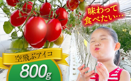 【先行予約】【1月より順次発送】 ミニトマト (空飛ぶアイコ)800g 野菜 トマト[AEBG006]