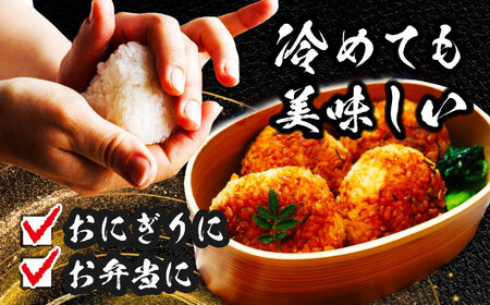 ＼2026年1月発送分／ あいちのかおり 白米 5kg / 脇野コンバイン[AECP001-4]