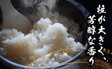 ＼2026年1月発送分／ あいちのかおり 白米 20kg 愛西市 / 脇野コンバイン 新米 お米 こめ 精米  [AECP003-4]