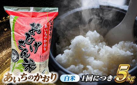 【6回定期便】あいちのかおり 白米 5kg×6か月 / 脇野コンバイン[AECP005]