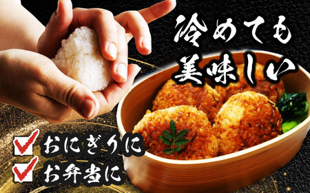 【12回定期便】あいちのかおり 白米 10kg×12か月 / 脇野コンバイン[AECP009]