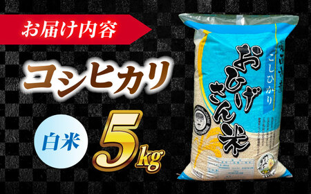＼2026年1月発送分／ コシヒカリ 白米 5kg 愛西市 / 脇野コンバイン 新米 こしひかり お米 こめ 精米 [AECP021-5]