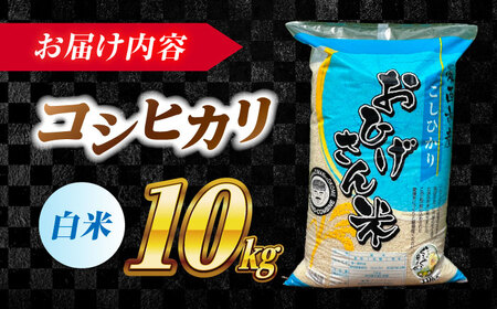 ＼2026年1月発送分／ コシヒカリ 白米 10kg 米 お米 ご飯 愛西市 / 脇野コンバイン こしひかりお米 こめ 精米 [AECP022-5]