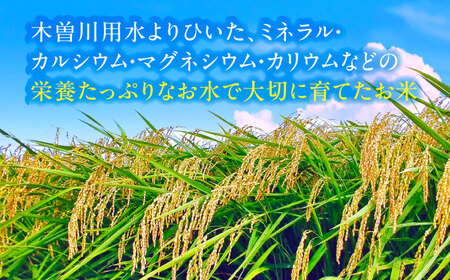 ＼2026年1月発送分／ コシヒカリ 白米 20kg 愛西市/脇野コンバイン 新米 こしひかり ブランド米 銘柄米 お米 精米 [AECP023-5]