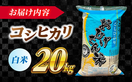 ＼2026年1月発送分／ コシヒカリ 白米 20kg 愛西市/脇野コンバイン 新米 こしひかり ブランド米 銘柄米 お米 精米 [AECP023-5]