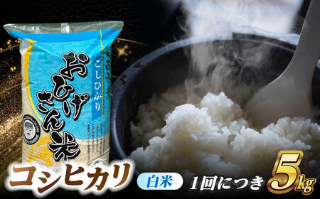 【12回定期便】コシヒカリ 白米 5kg×12か月 / 脇野コンバイン[AECP026]