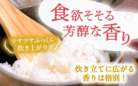 ＼2026年1月発送分／あいちのかおり 白米 10kg / 戸倉トラクター[AECS002-01]