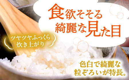 【先行予約/10月より順発送】 【令和7年度産 新米 】 にこまる 白米 10kg お米 ご飯  愛西市 / 戸倉トラクター 【配達不可：離島】 [AECS056]