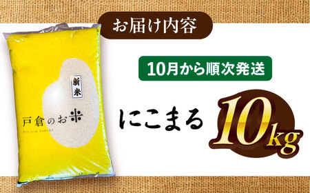 【先行予約/10月より順発送】 【令和7年度産 新米 】 にこまる 白米 10kg お米 ご飯  愛西市 / 戸倉トラクター 【配達不可：離島】 [AECS056]