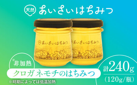 あいさいはちみつ クロガネモチ 120g×2本 蜂蜜 国産 非加熱 愛西市 / あいさいはちみつ[AEBP002]
