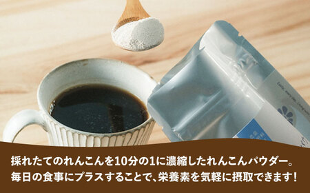 れんこんチップス 3種5袋 + れんこんパウダー 1袋 蓮根 レンコン / あいちママクリエーションズ[AECI004]