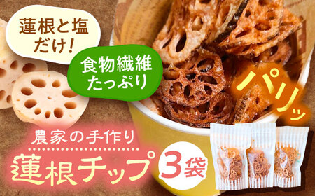 【10月より順次発送】 蓮根チップ 30g×3 れんこん 蓮根 レンコン チップス / しのだ農園[AECE006]