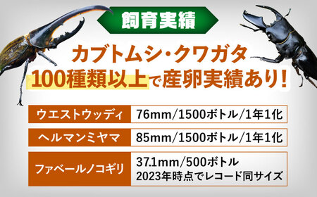カブトムシ クワガタ 幼虫飼育産卵マット[AEDD005]