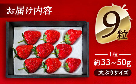 【12月より順次発送】 紅ほっぺ 9粒 いちご 苺 イチゴ【配達不可：北海道・沖縄・離島】 / くぼ苺農園[AECJ008]