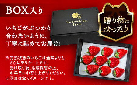 【12月より順次発送】 紅ほっぺ 9粒 いちご 苺 イチゴ【配達不可：北海道・沖縄・離島】 / くぼ苺農園[AECJ008]