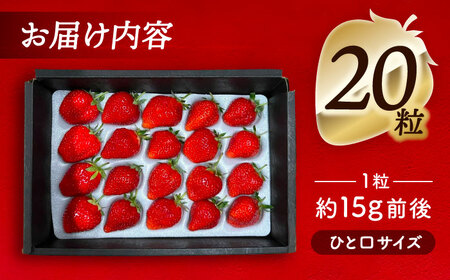 【12月より順次発送】 紅ほっぺ 20粒 いちご 苺 イチゴ【配達不可：北海道・沖縄・離島】 / くぼ苺農園[AECJ009]