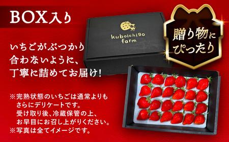 【先行予約】 ＼毎年12月より順次発送／ 紅ほっぺ 24粒 いちご 果物 フルーツ 愛西市 / くぼ苺農園 【配達不可：北海道・沖縄・離島】[AECJ010]