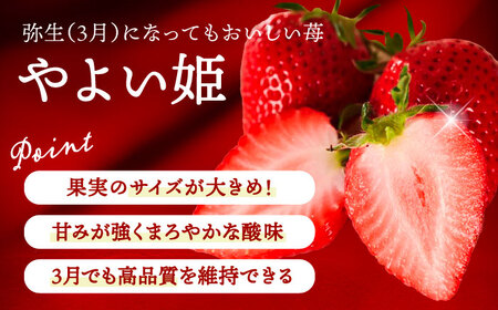 【12月より順次発送】 大玉 やよい姫 5-6粒 いちご 苺 イチゴ【配達不可：北海道・沖縄・離島】 / くぼ苺農園[AECJ015]