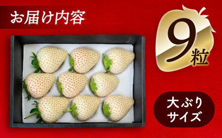 【先行予約】【1月より順次発送】 白いちご White Fairy 9粒 いちご 苺 イチゴ【配達不可：北海道・沖縄・離島】 / くぼ苺農園[AECJ016]