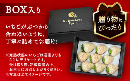 【先行予約】【1月より順次発送】 白いちご White Fairy 9粒 いちご 苺 イチゴ【配達不可：北海道・沖縄・離島】 / くぼ苺農園[AECJ016]