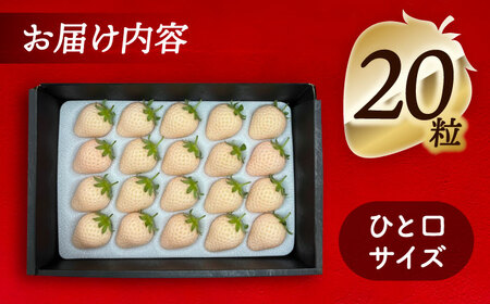 【先行予約】【1月より順次発送】 白いちご White Fairy 20粒 いちご 苺 イチゴ【配達不可：北海道・沖縄・離島】 / くぼ苺農園[AECJ017]