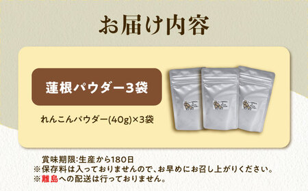 れんこん パウダー 3袋 蓮根 粉末【配達不可：離島】[AEAO012]