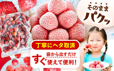 冷凍苺 1kg いちご 苺 イチゴ【配達不可：離島】 / くぼ苺農園[AECJ025]