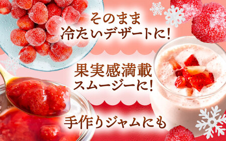 冷凍苺 1kg いちご 苺 イチゴ【配達不可：離島】 / くぼ苺農園[AECJ025]