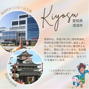 モンデリーズ・ジャパン クロレッツXPクリアミントボトルR 140g×6個_惣菜・加工品   _【1537802】