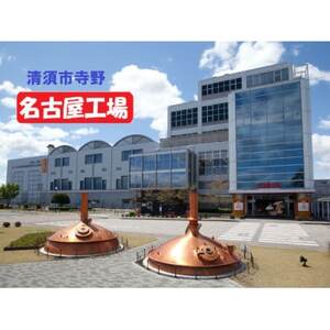 【2ヵ月毎定期便】キリン 氷結 無糖レモン 4% 350ml 2ケース (48本)全3回_酒・アルコール     定期便 定期便  _【4062408】