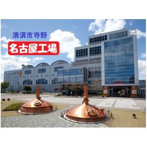 キリン 氷結 グレープフルーツ チューハイ 500ml 1ケース (24本)_酒・アルコール リキュール・洋酒  _【1612562】