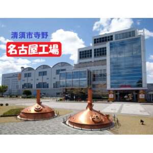 キリン 本搾り レモンとライム 350ml 各1ケース (計48本) チューハイ【1639642】