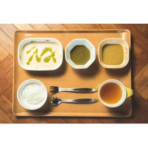 介護用GSミキサー食・2週間セット(3食×14日間分)【配送不可地域:離島】【1650124】