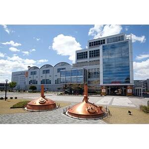 キリン氷結ストロングシチリア産レモン350ml×48本【1180955】