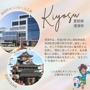 キリン 麒麟特製レモンサワー 9% 350ml×48本(2ケース)【1180988】