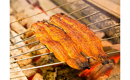 創業90年の老舗卸問屋が本当に召し上がっていただきたい「丸ごと一本鰻」【配送不可地域：離島】【1174640】