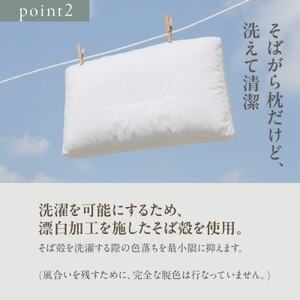 洗えるそば殻まくら 大 日本製の枕 高さ調節可能【1069624】