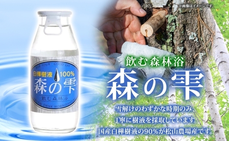 白樺樹液 森の雫 180ml 10本 樹液 白樺 天然 飲料水 水分補給 飲料 ドリンク 松山農場 北海道 美深町