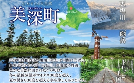  北海道 美深銘菓 かぼちゃパイ 16個 スイーツ カボチャ かぼちゃ 南瓜 パイ 餡 餡子 あんこ バター お茶請け おやつ ロングセラー 売れ筋 菓子 お菓子 ギフト 贈り物 プレゼント 特産品 送料無料 菓子司すぎむら 美深町