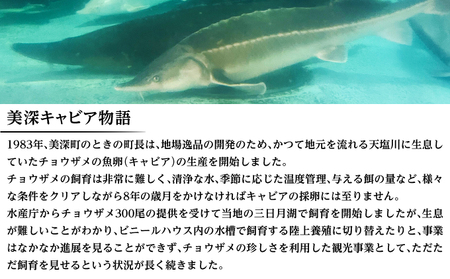 北海道産 美深キャビア20g 【純国産】北海道美深町