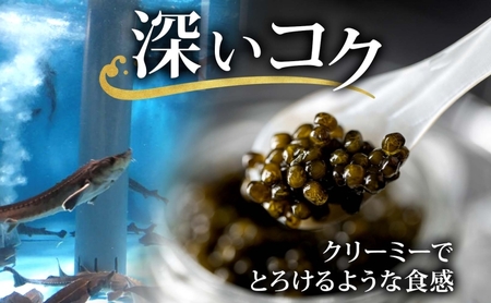北海道産 美深キャビア10g  純国産 北海道 美深町 国産キャビア チョウザメ 魚貝類 魚卵 加工食品 珍味  冷凍配送 ギフト おつまみ おもてなし オードブル パーティー  お祝い クリーミー 贈答用  産地直送  株式会社美深振興公社