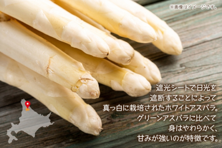 【ふるなびWEEK対象】2026年発送 ホワイトアスパラ 2kg(2L～3L ）【優品】 白旬 新鮮 野菜 朝採れ アスパラ アスパラガス ギフト 産地直送 お取り寄せ フレッシュ 甘い 春 春野菜 旬の味覚 季節 送料無料 北海道産 美深町 FN-Limited-PR