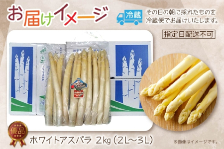 【ふるなびWEEK対象】2026年発送 ホワイトアスパラ 2kg(2L～3L ）【優品】 白旬 新鮮 野菜 朝採れ アスパラ アスパラガス ギフト 産地直送 お取り寄せ フレッシュ 甘い 春 春野菜 旬の味覚 季節 送料無料 北海道産 美深町 FN-Limited-PR
