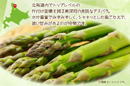 【ふるなびWEEK対象】2026年発送 グリーンアスパラ 1kg (M) 【 秀品 】 旬 新鮮 野菜 朝採れ アスパラ アスパラガス ギフト 産地直送 お取り寄せ フレッシュ 甘い 春 春野菜 旬の味覚 季節 送料無料 北海道産 美深町 FN-Limited-PR
