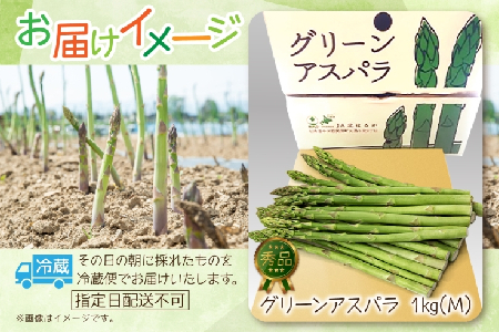 【ふるなびWEEK対象】2026年発送 グリーンアスパラ 1kg (M) 【 秀品 】 旬 新鮮 野菜 朝採れ アスパラ アスパラガス ギフト 産地直送 お取り寄せ フレッシュ 甘い 春 春野菜 旬の味覚 季節 送料無料 北海道産 美深町 FN-Limited-PR