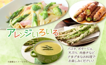 【2025年発送】北海道美深町 グリーンアスパラ 1kg(M)【 秀品 】旬  新鮮 野菜 朝採れ アスパラ アスパラガス ギフト 産地直送  お取り寄せ フレッシュ 健康 アンチエイジング 簡単調理