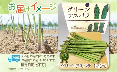 【2025年発送】北海道美深町 グリーンアスパラ 1kg(M)【 秀品 】旬  新鮮 野菜 朝採れ アスパラ アスパラガス ギフト 産地直送  お取り寄せ フレッシュ 健康 アンチエイジング 簡単調理