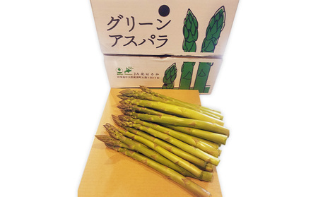 【2025年発送】グリーンアスパラ 1kg(L)［秀品］北海道 美深町産 アスパラガス 野菜　 北海道野菜 旬の野菜 甘い みずみずしい 　お届け：2025年5月中旬～2025年6月下旬